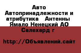 Авто Автопринадлежности и атрибутика - Антенны. Ямало-Ненецкий АО,Салехард г.